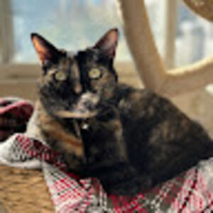 Meet your Posher, Natalia